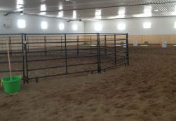 Freeze Arena